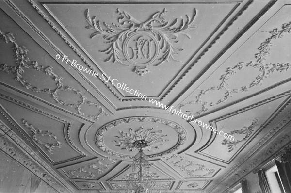 FRENCHPARK THE HOUSE DRAWING ROOM CEILING DETAIL